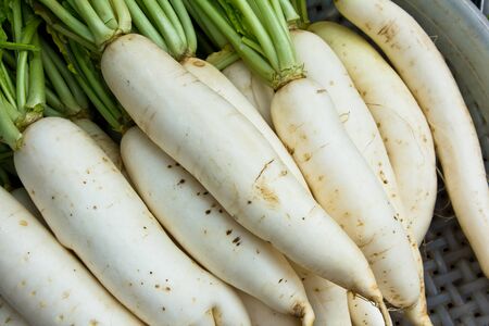 fresh radishes in marketの写真素材