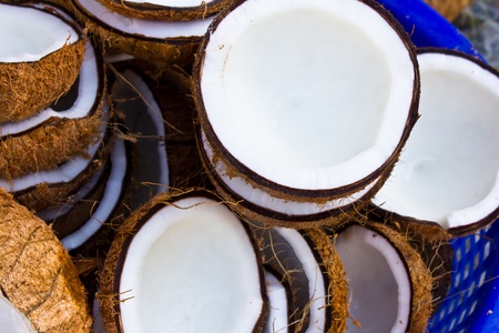 Closeup of coconut dryingの写真素材