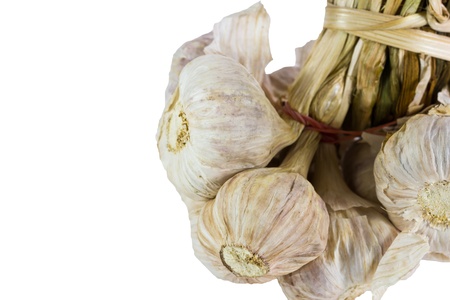 Garlic isolated on white backgroundの写真素材
