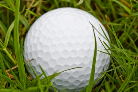 Closeup of a golf ball in the roughの写真素材