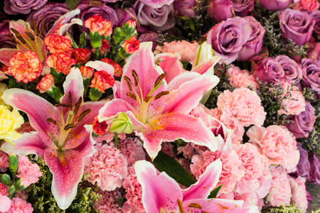 Close up pink lily flowersの写真素材