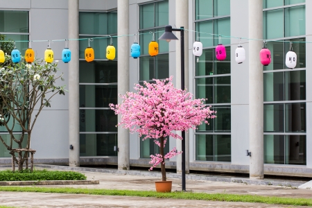 Sakura flowers blooming  Beautiful pink cherry blossomのeditorial素材