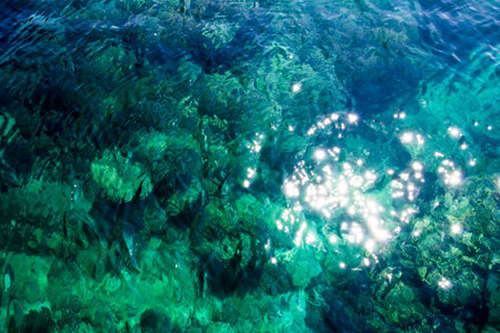 Crystal clear water of tropical sea
