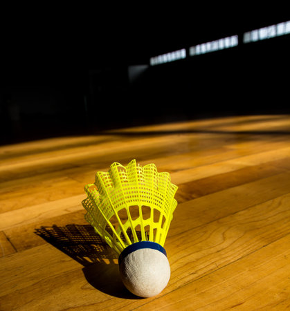 Shuttlecock badminton on courtの写真素材