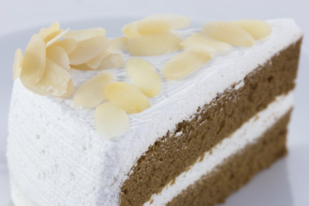 Chocolate cake sliceの写真素材