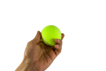 Hand hold tennis ball on white backgroundの写真素材