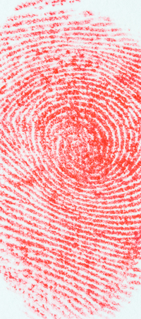 Fingerprint isolated on whiteの写真素材