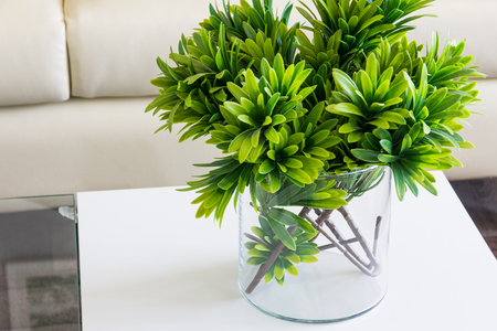 Modern interior decoratedの写真素材