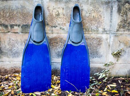 fins or flippersの写真素材