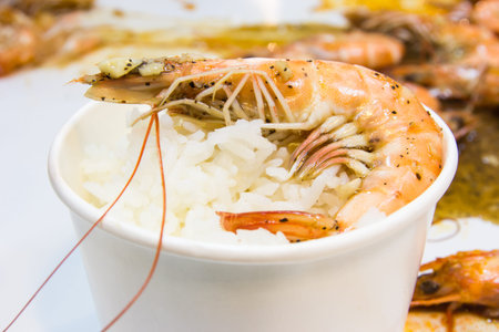 fresh delicious shrimp with riceの写真素材