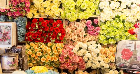 image of beautiful   colorful roses backgroundの写真素材