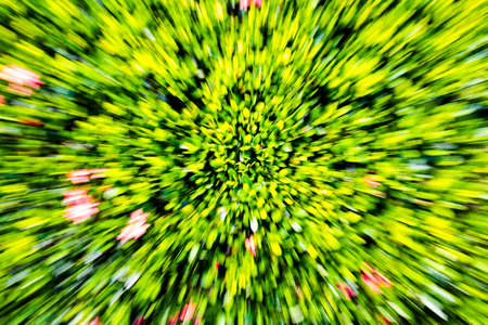 zoom in zoom out green leaf backgroundの写真素材