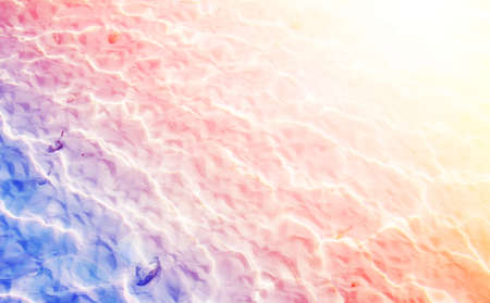 clear water of the tropical seaの写真素材