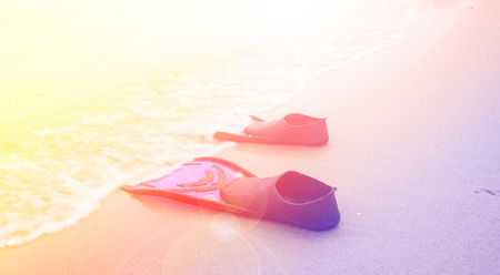 Blue diving fins on  the beachの写真素材