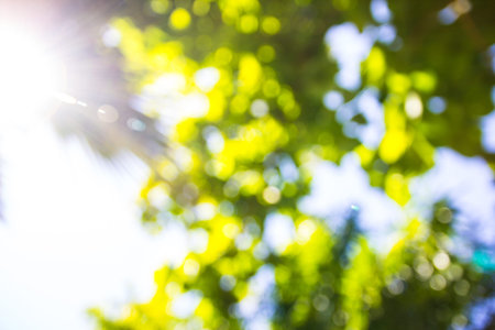 Natural green blurred background