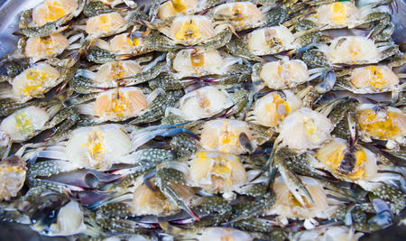 Fresh crab,(Blue crab)の写真素材