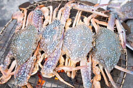 Grilled blue crabs on  charcoalの写真素材