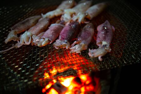 Grilled fresh squid barbecued on flamingの写真素材
