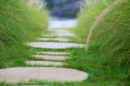 Stone walkway on green grassの写真素材