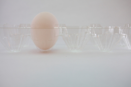 Egg in packの写真素材