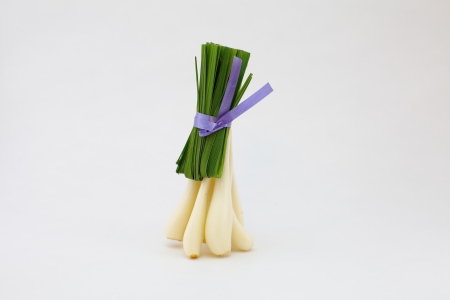 spring onion の写真素材