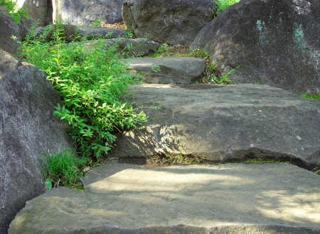 Torsakarin121000462