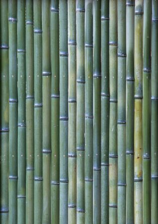 Bamboo wall textureの写真素材
