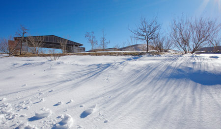 Snow texture for the background の写真素材