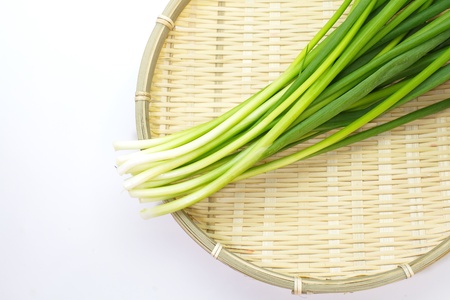 beautiful spring onions on a white backgroundの写真素材