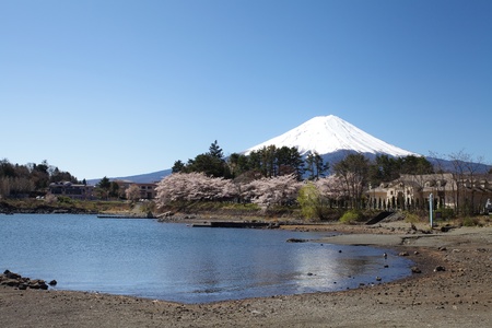 Mountain Fuji in spring の写真素材