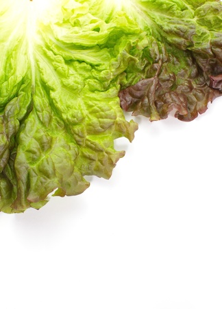 red lettuce isolated on white の写真素材