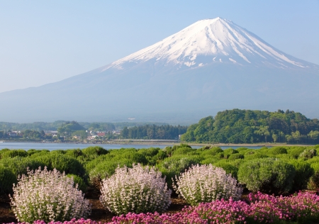 Mountain Fuji in springの写真素材
