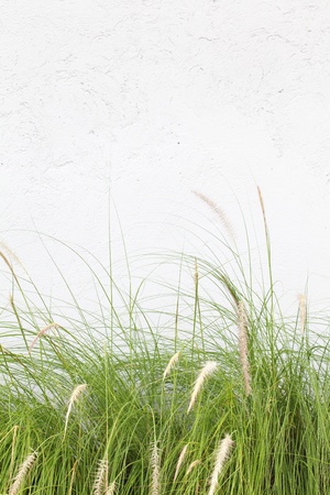Simple concrete wall background with texture の写真素材