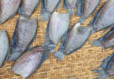 drying snakeskin gourami fishs in threshing basket の写真素材