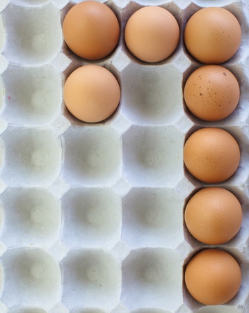 fresh eggs in pater tray の写真素材