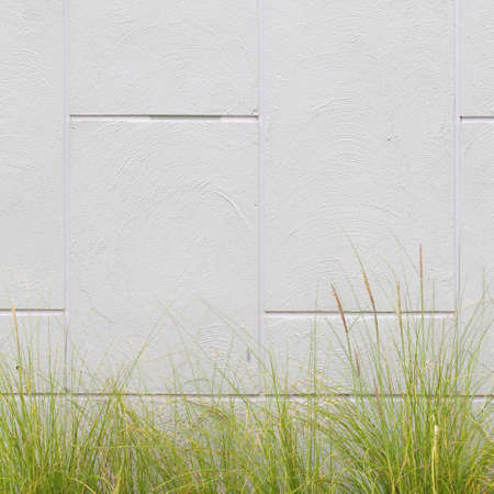 Simple concrete wall background with texture の写真素材