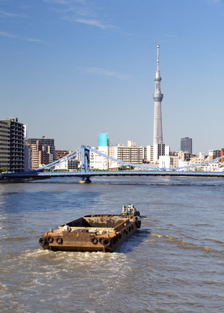 View of Tokyo Sky Tree