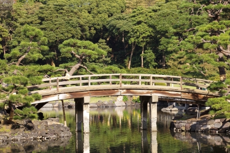 Japanese garden の写真素材