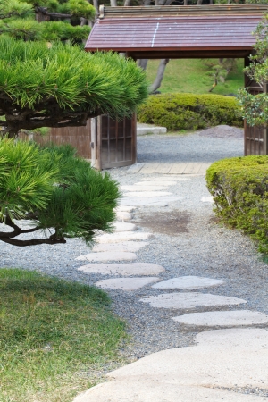Old door at beautiful japanese green park in summer time の写真素材