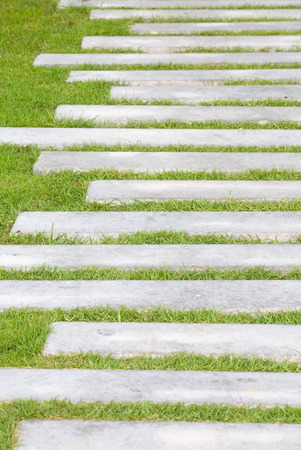 The Stone block walk path in the park with green grass backgroundの写真素材