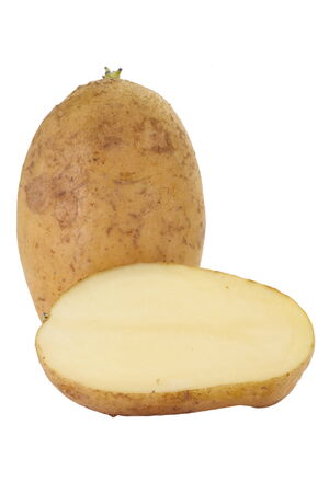 close - up small new and fresh raw potatoの写真素材