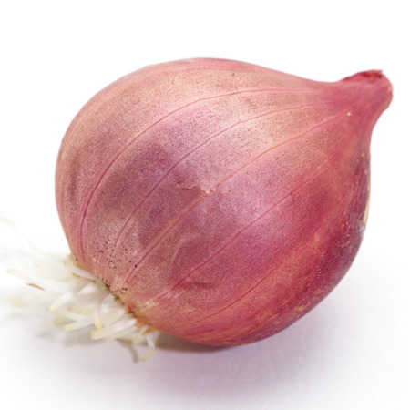 close - up small red onion on white backgroundの写真素材