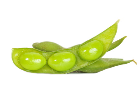 Japanese healthy appetizer edamame green soy beansの写真素材