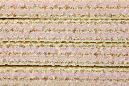 strawberry wafer の写真素材