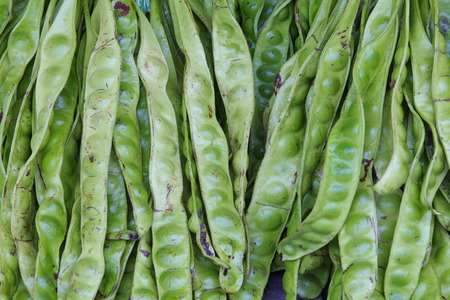 Parkia speciosaの写真素材