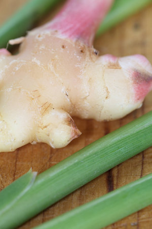 Close - up fresh and spice ginger root