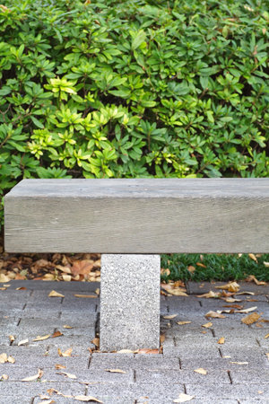 Wood bench at park in the autumn season
