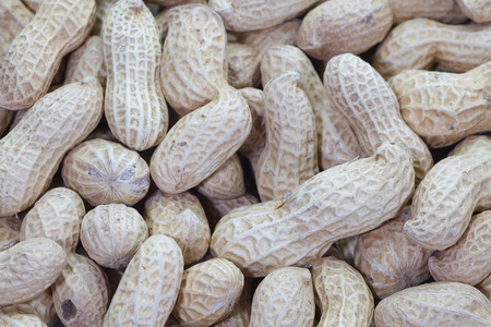 Close - up many raw dried peanutsの写真素材