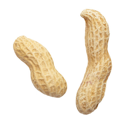 Raw dried peanut on a white background
