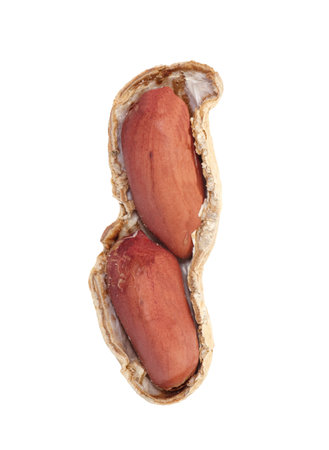 Raw dried peanut on a white background